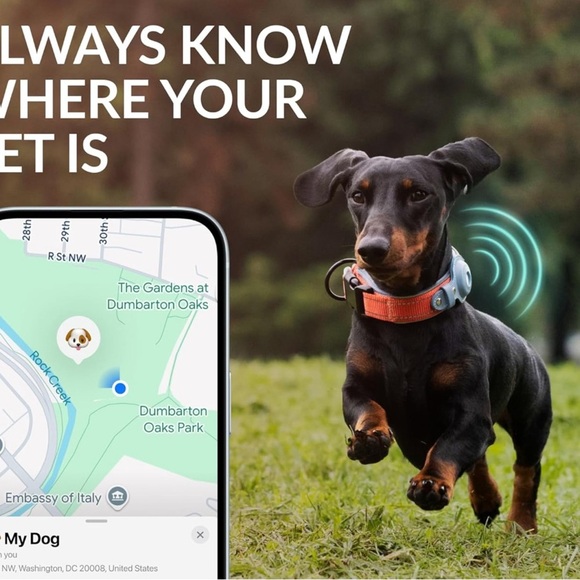 Air Tag Dog Collar - Reflective stitching & Orange - for medium size dogs - Picture 5 of 12